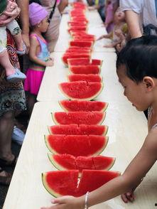 吃瓜的娱乐小能手,吃瓜达人揭秘娱乐圈幕后故事