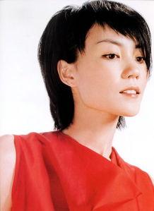 王菲背景,音乐传奇与人生轨迹的交织 第2张 王菲背景,音乐传奇与人生轨迹的交织 第2张