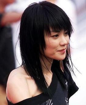 王菲背景,音乐传奇与人生轨迹的交织 第3张 王菲背景,音乐传奇与人生轨迹的交织 第3张