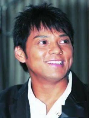 香港演员王宵,香港影视界的璀璨星辰  第2张